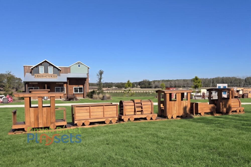 6 Piece Train Set | Amish Direct Playsets